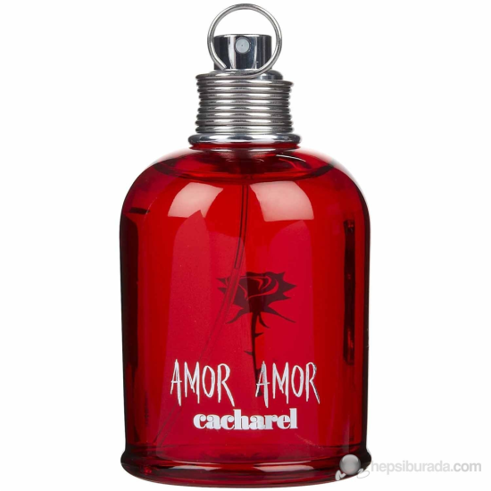 Giorgio Armani Si Edp 100 Ml Kadın Parfümü